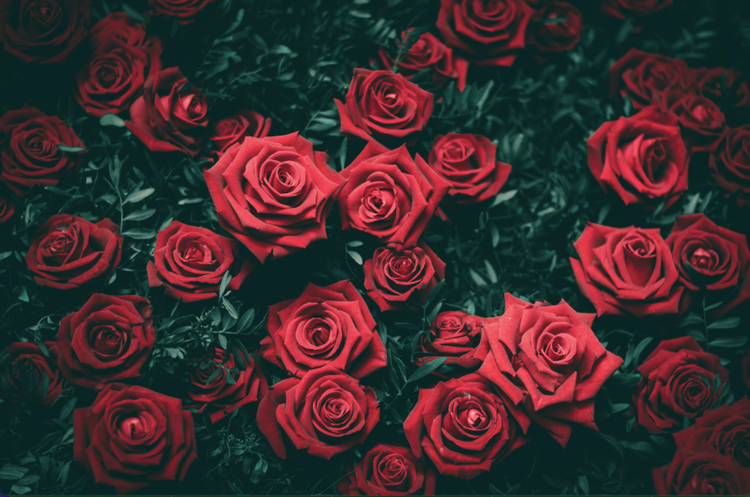 LE IDEE REGALO DI SAN VALENTINO