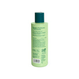 Shampoo Purifying