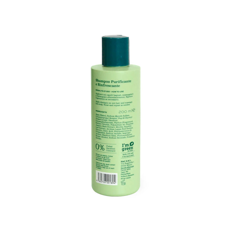 Shampoo Purifying